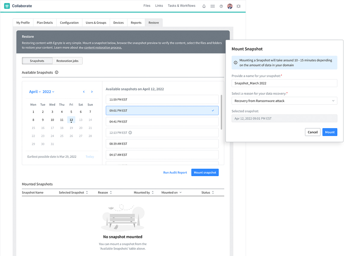 Egnyte snapshot restore